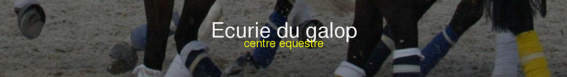 Ecurie du galop